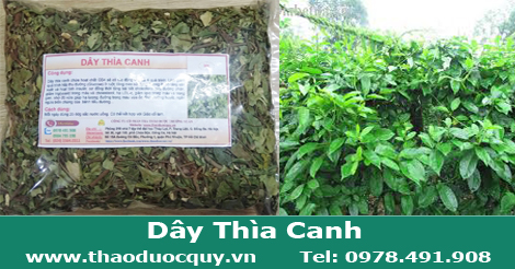 day_thia_canh_tri_tieu_duong